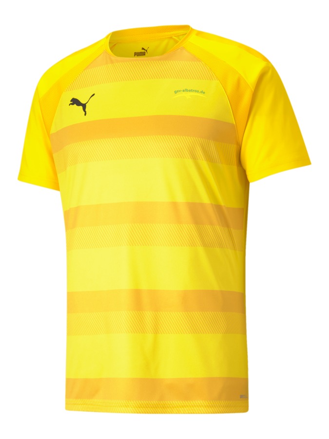 PUMA teamVISION Trikot