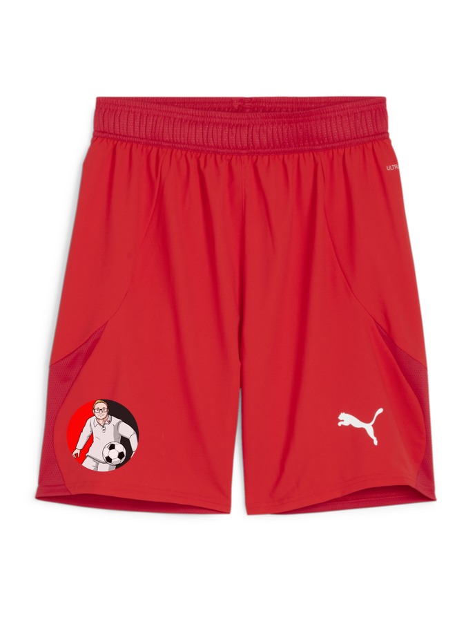 PUMA teamFINAL Shorts