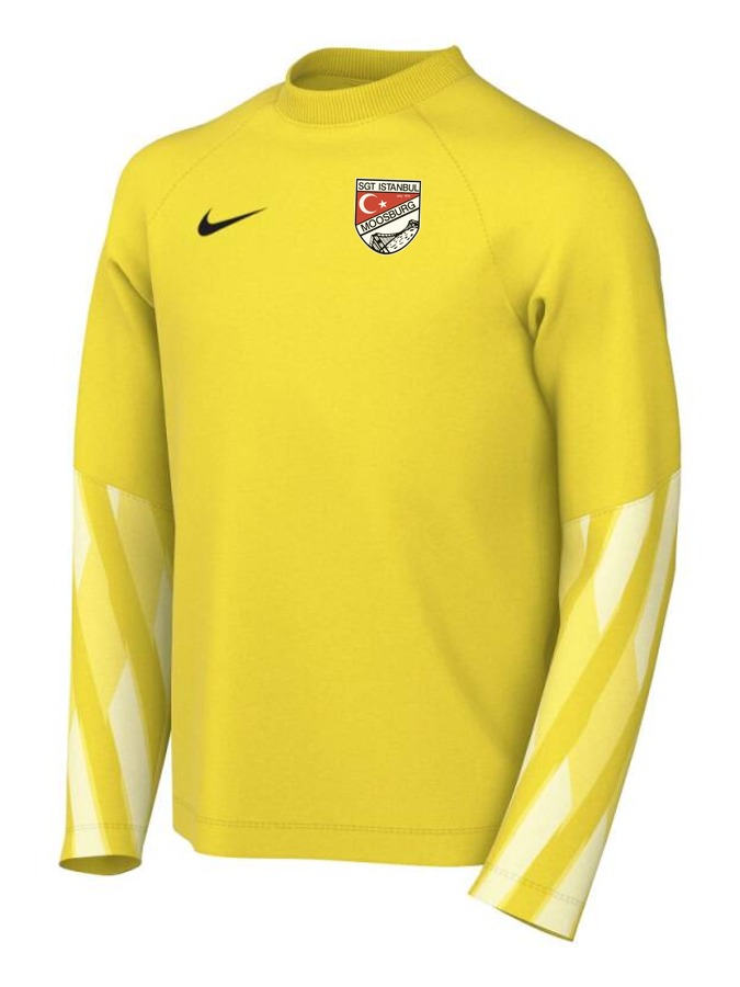 Nike Dri-FIT Park V Torwart Trikot Langarm Kinder
