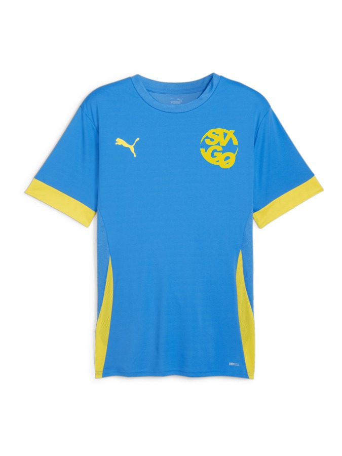PUMA teamGOAL Matchday Trikot