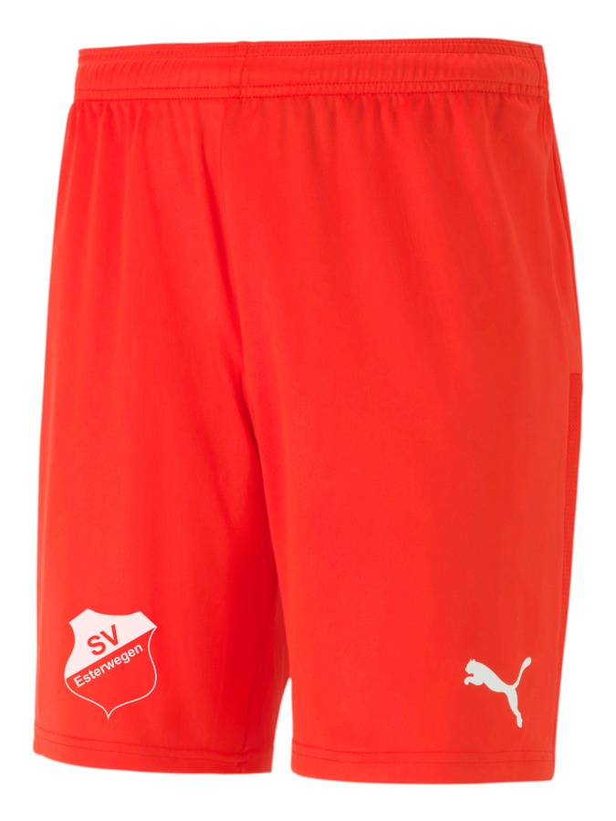 PUMA teamGOAL 23 Knit Shorts