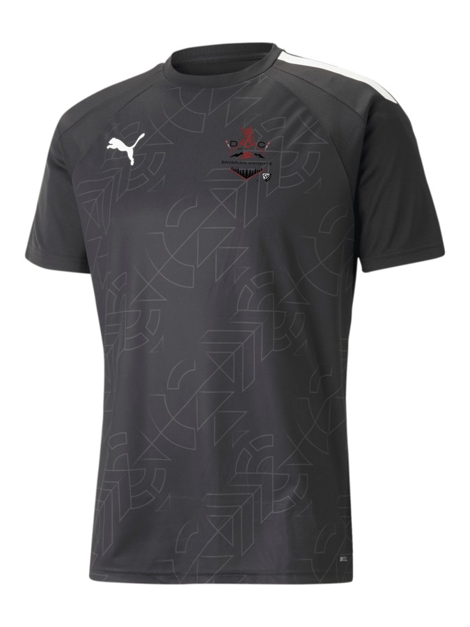 PUMA teamLIGA Graphic Trikot