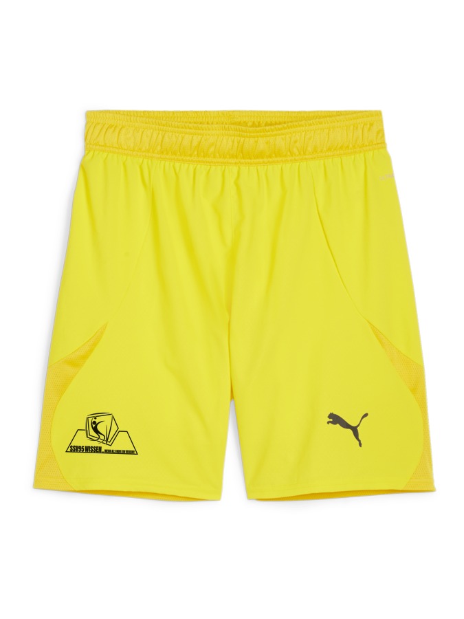 PUMA teamFINAL Shorts