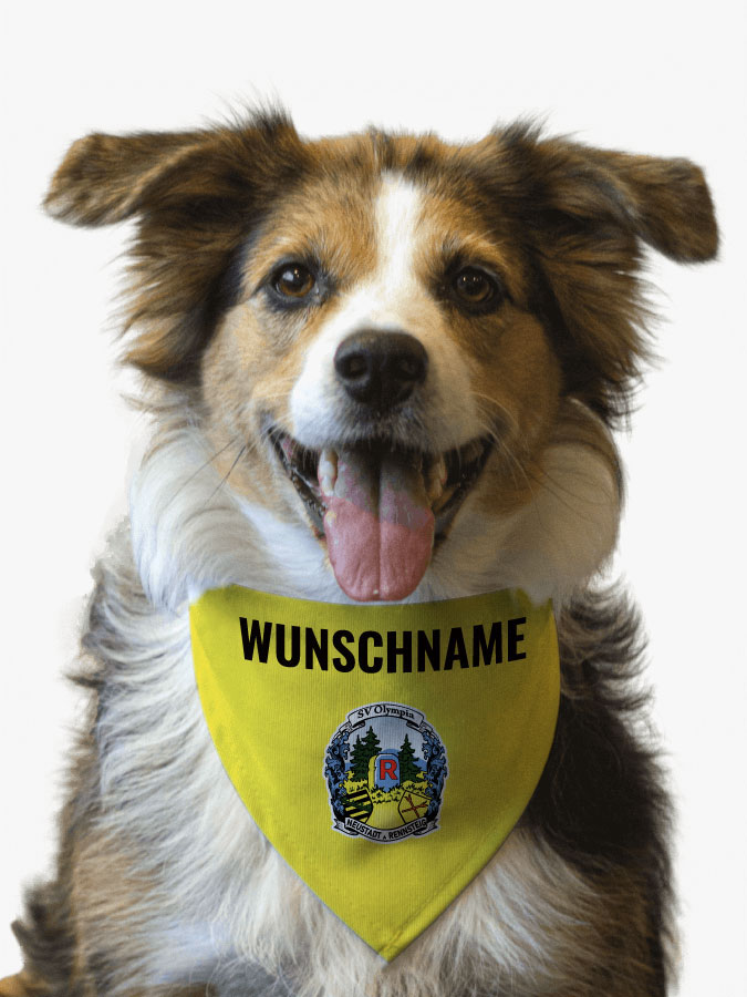 Hundehalstuch