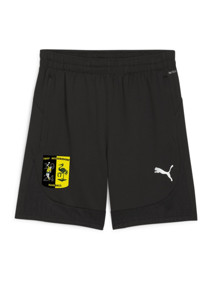 PUMA teamFINAL Training Shorts