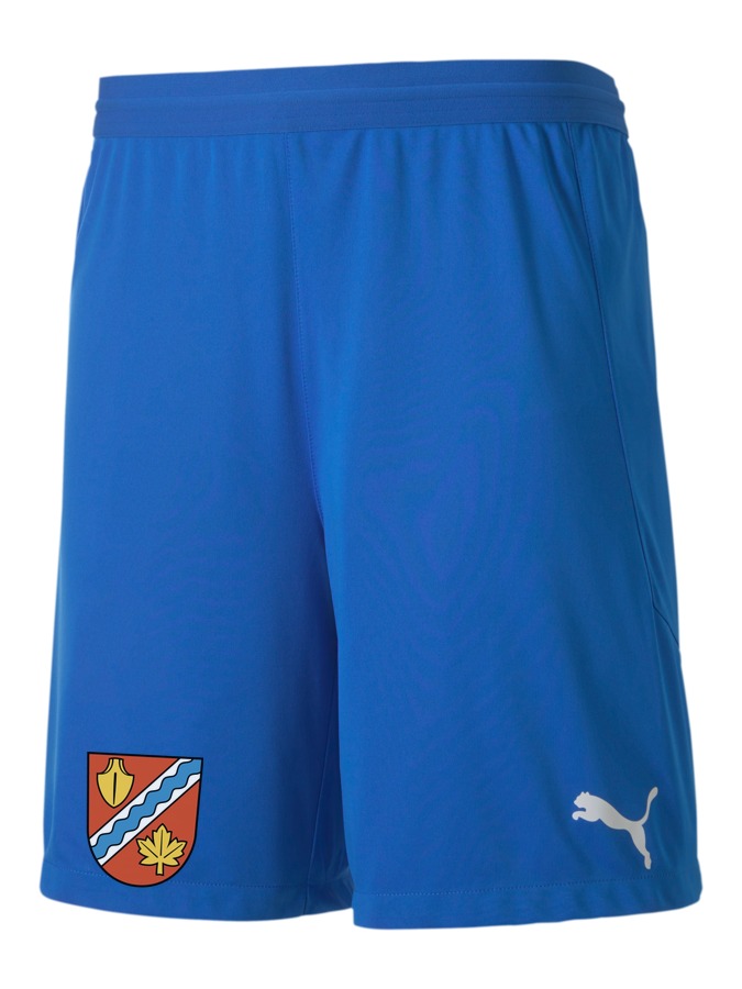 PUMA teamFINAL 21 Knit Shorts