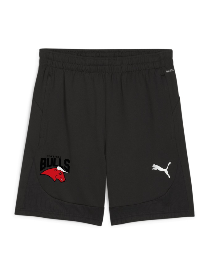 PUMA teamFINAL Training Shorts