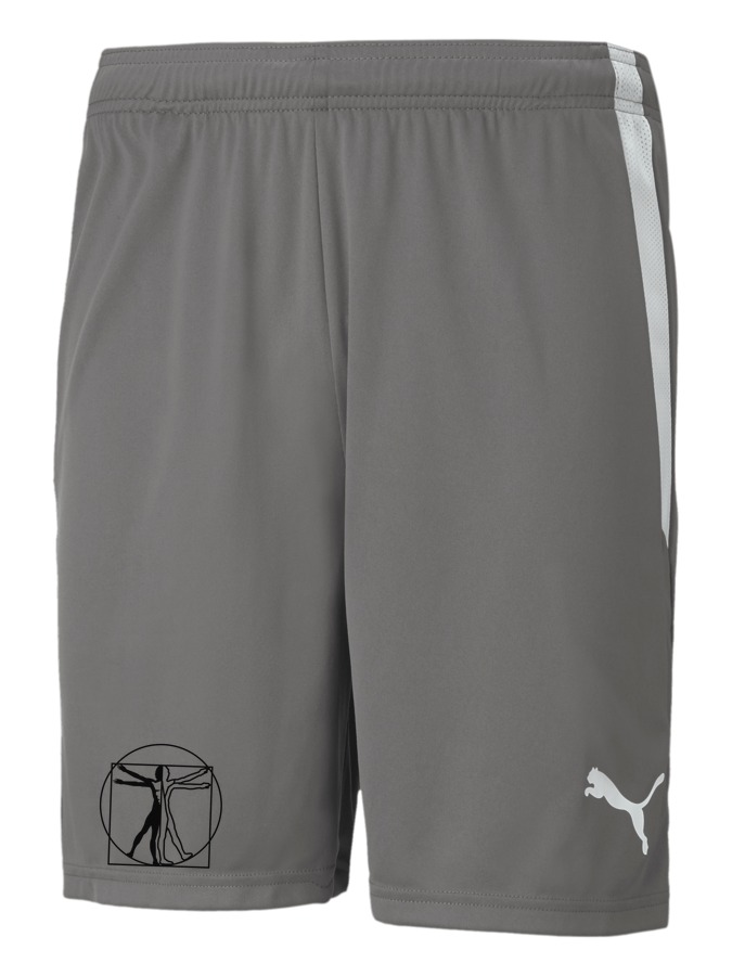 PUMA teamLIGA Shorts