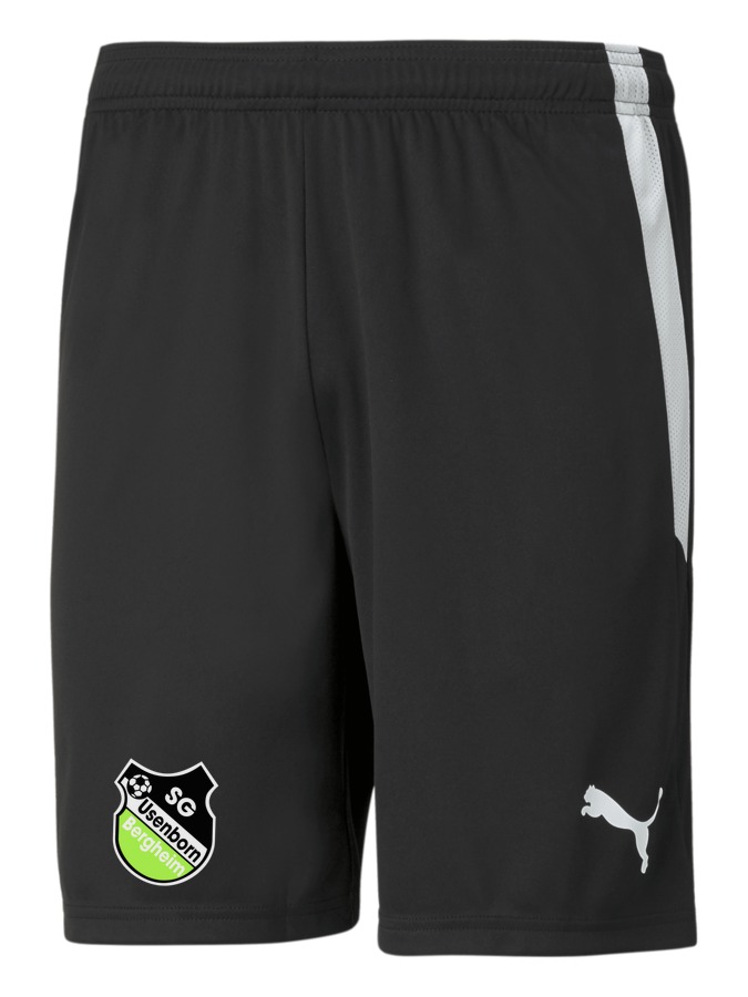 PUMA teamLIGA Shorts