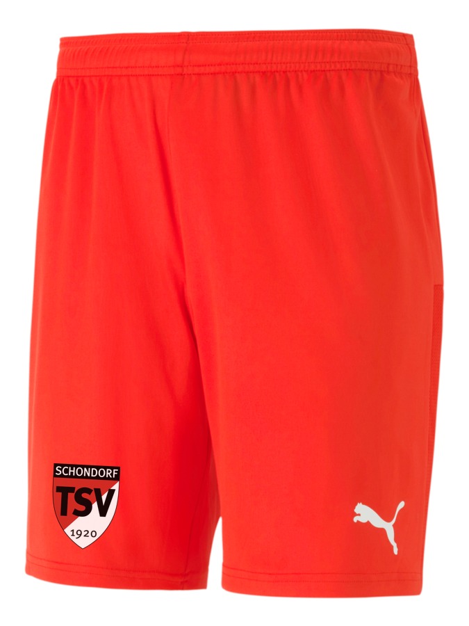 PUMA teamGOAL 23 Knit Shorts
