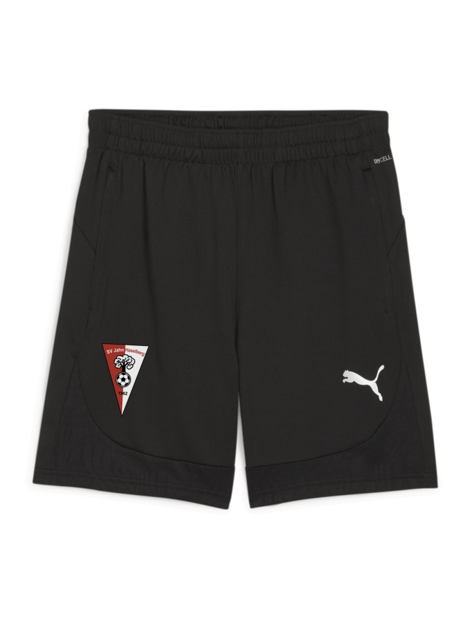 PUMA teamFINAL Training Shorts