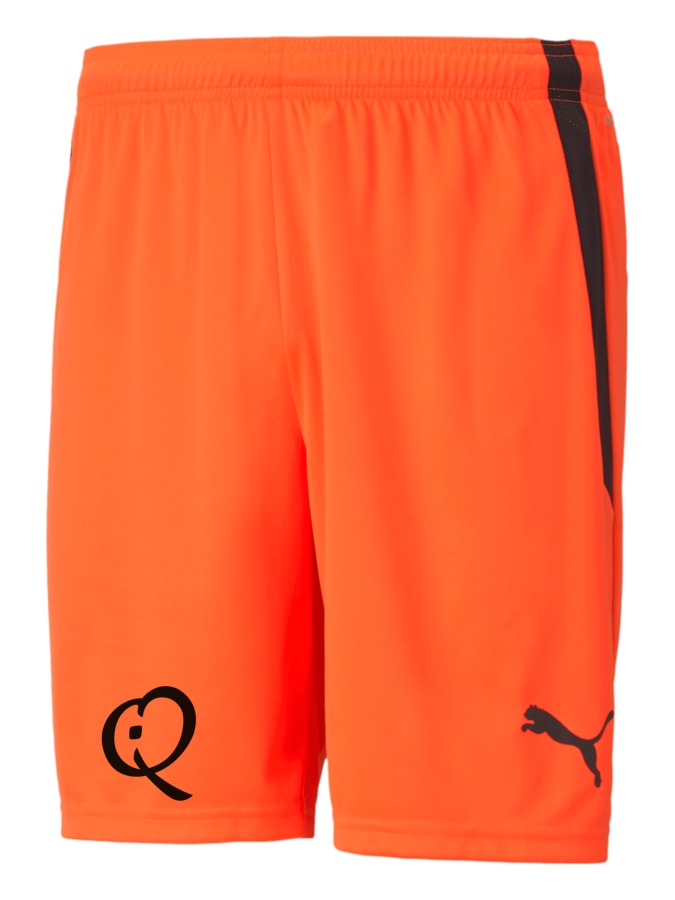 PUMA teamLIGA Shorts