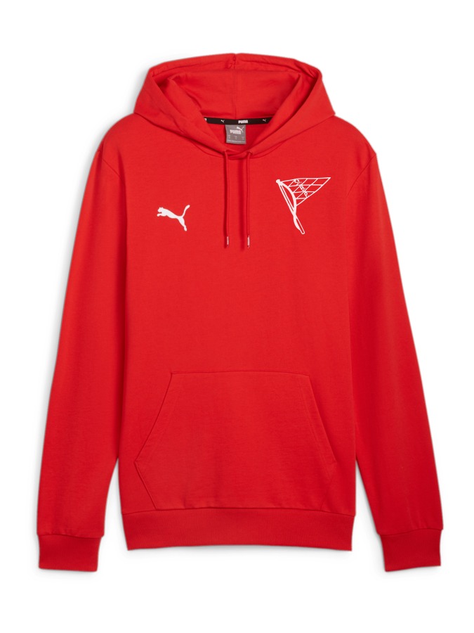 PUMA teamGOAL Casuals Hoody