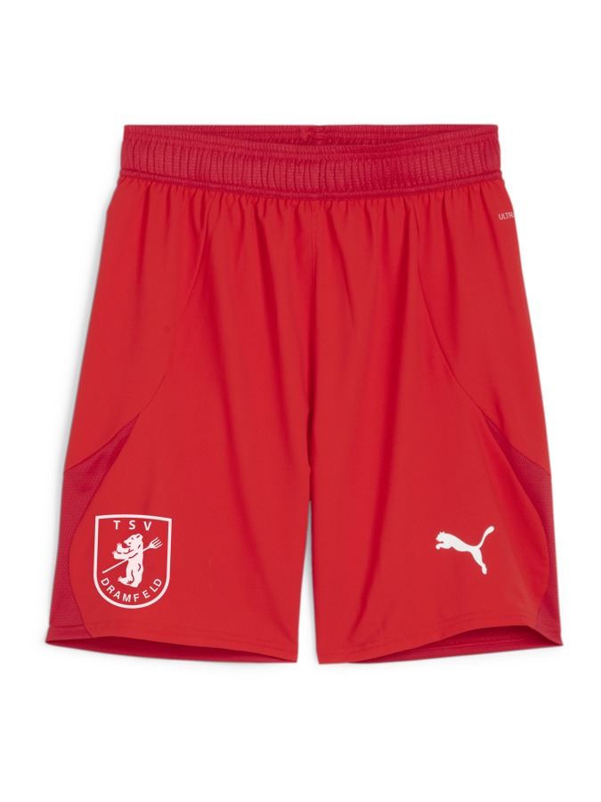 PUMA teamFINAL Shorts