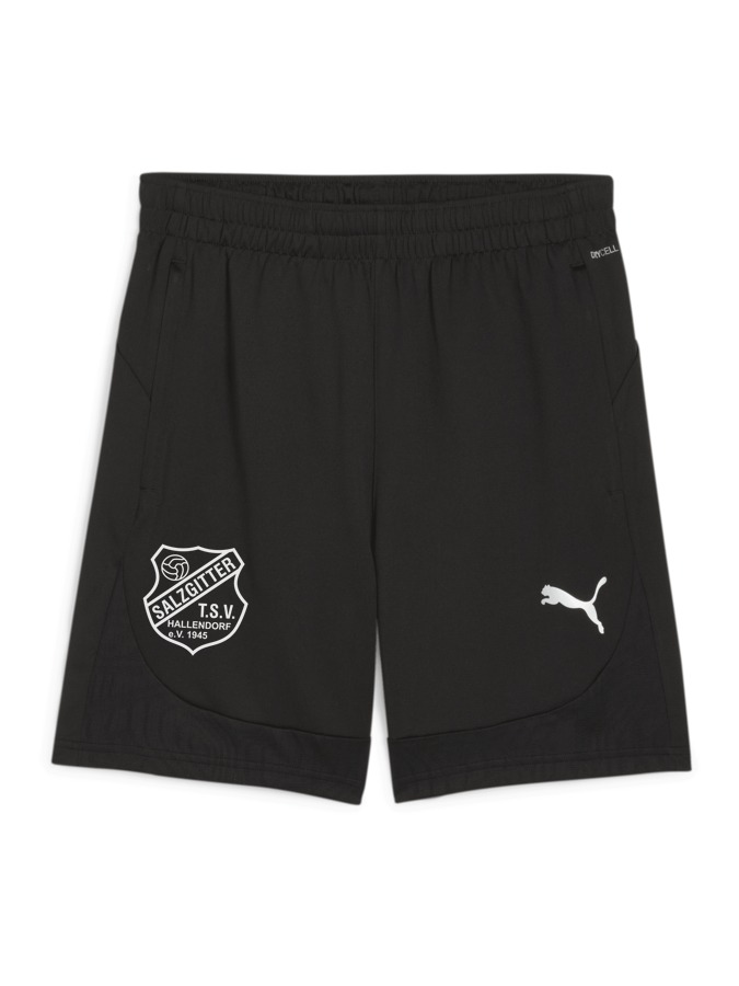 PUMA teamFINAL Training Shorts