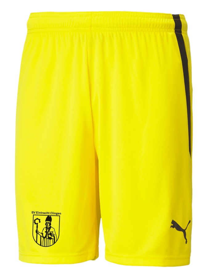 PUMA teamLIGA Shorts