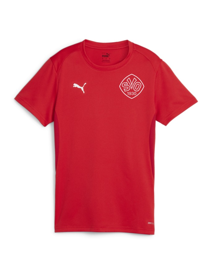 PUMA teamGOAL Trikot Damen
