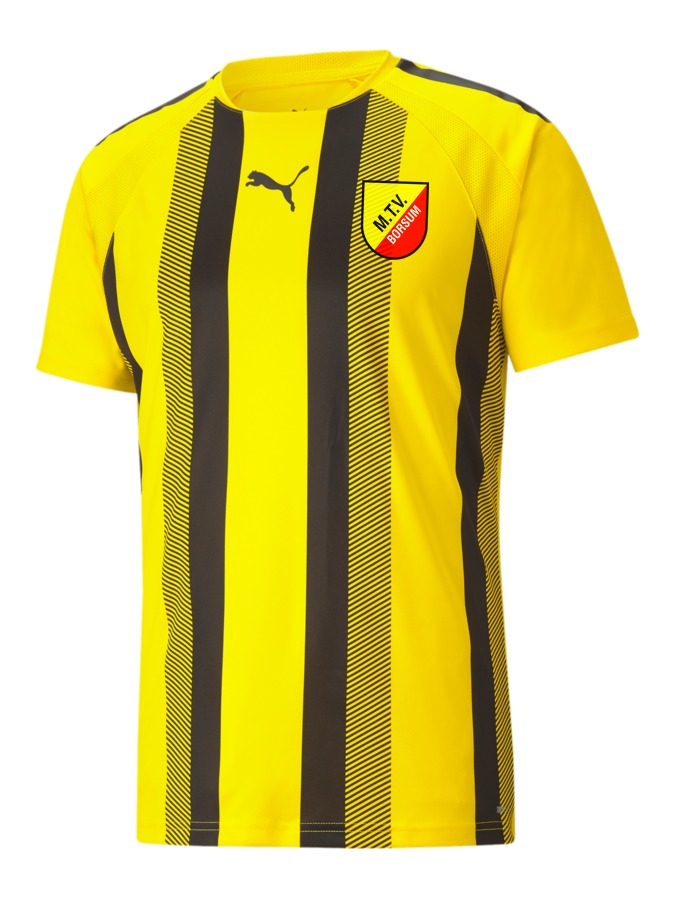PUMA teamLIGA Striped Trikot