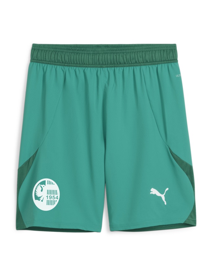 PUMA teamFINAL Shorts