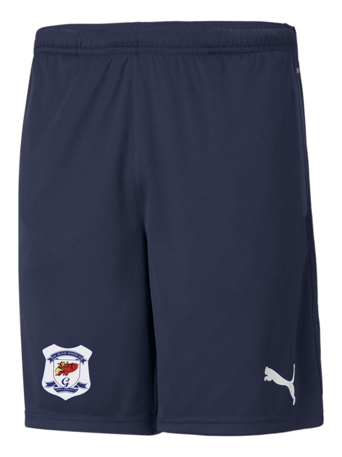 PUMA teamRISE Training Shorts