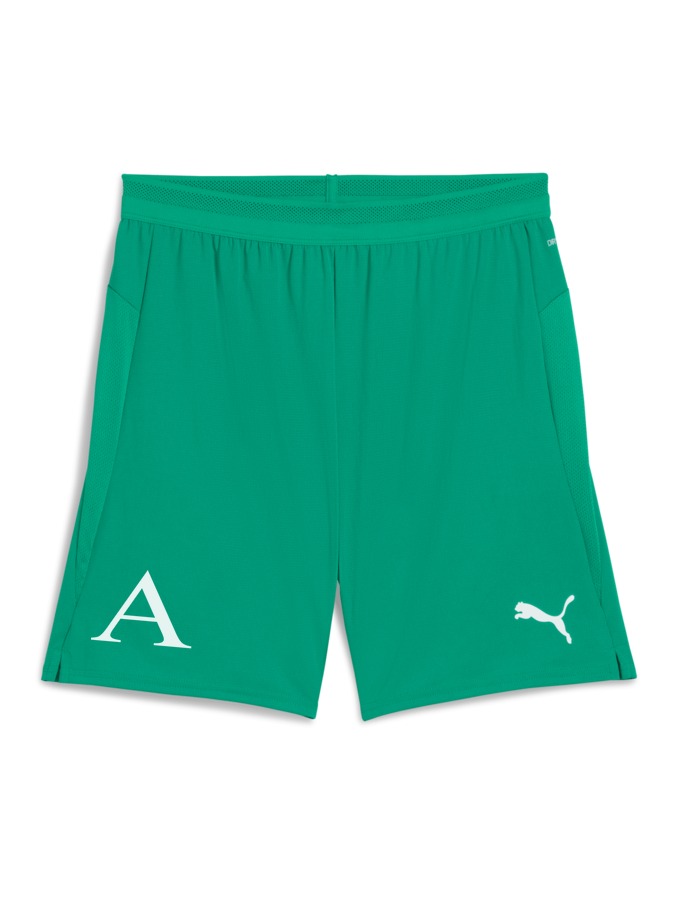 PUMA teamCUP Shorts