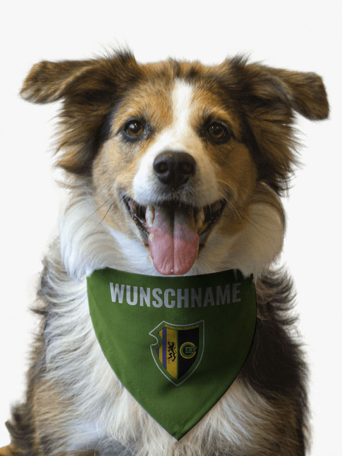Hundehalstuch