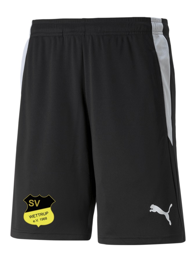 PUMA teamLIGA Referee Shorts