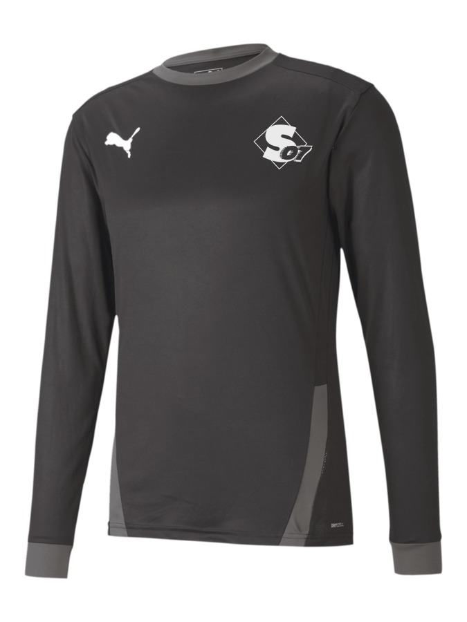 PUMA teamGOAL 23 Longsleeve