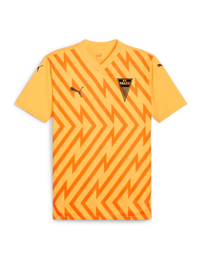 PUMA teamGLORY Trikot