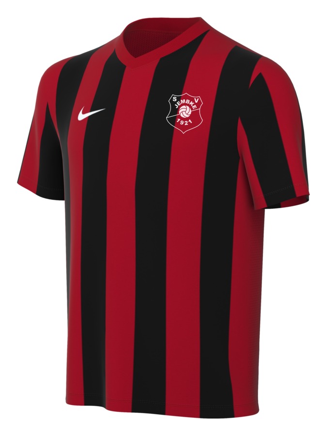Nike Striped Division V Trikot Kinder