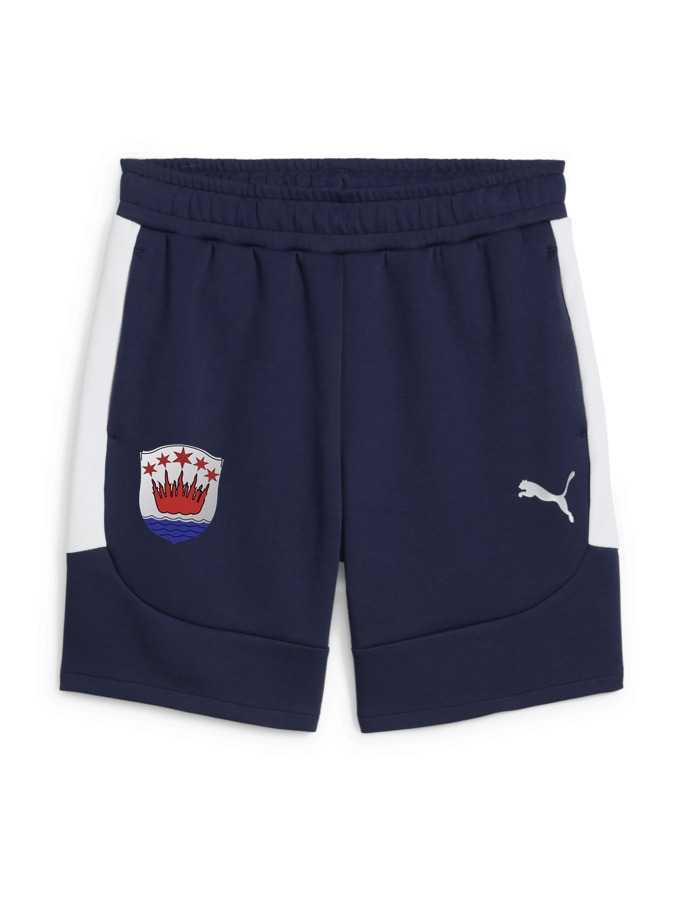 PUMA teamEVOSTRIPE Shorts