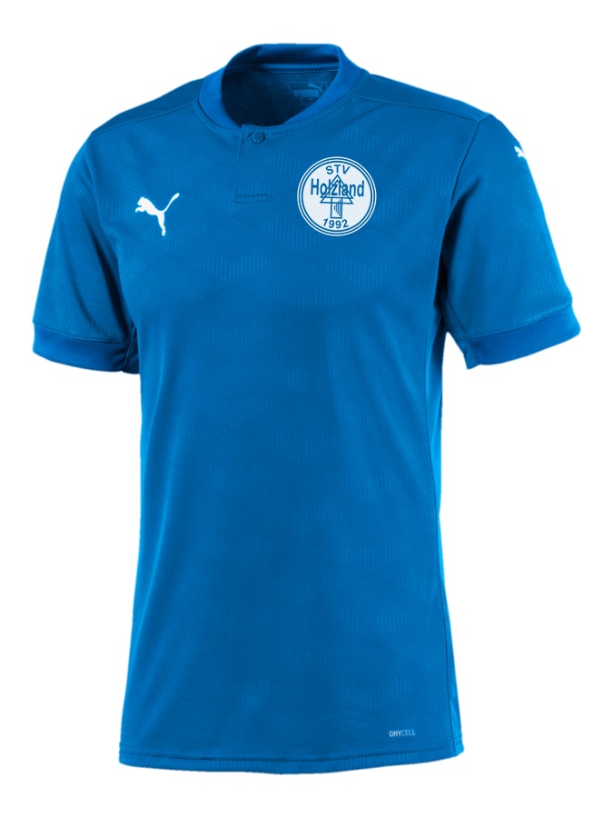 PUMA teamFINAL 21 Trikot