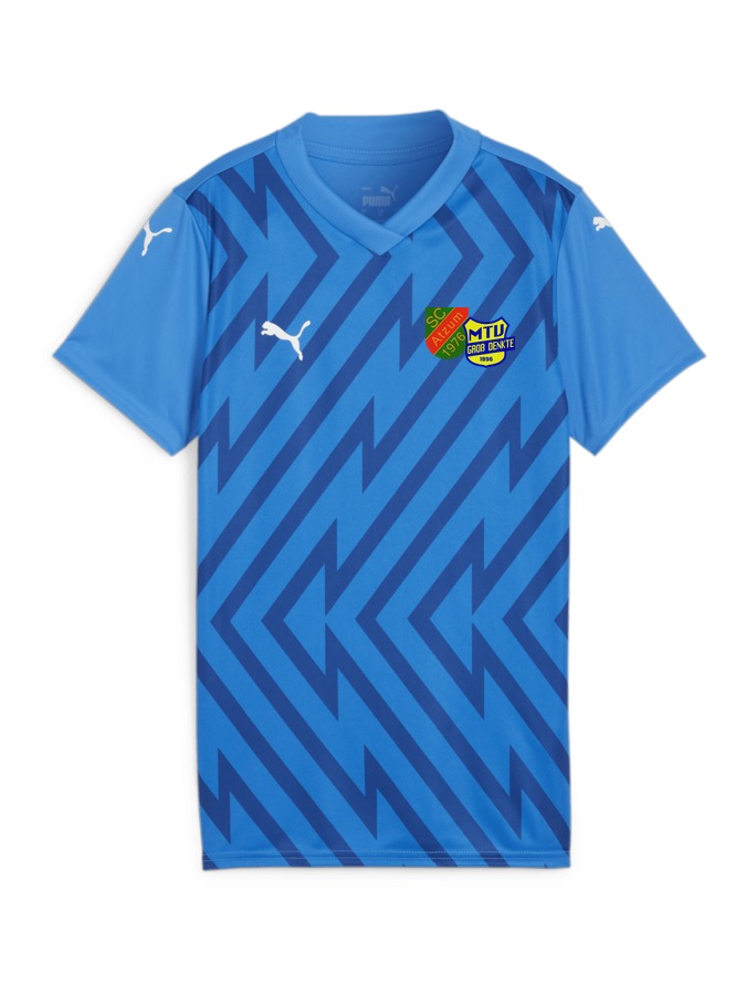 PUMA teamGLORY Trikot Damen