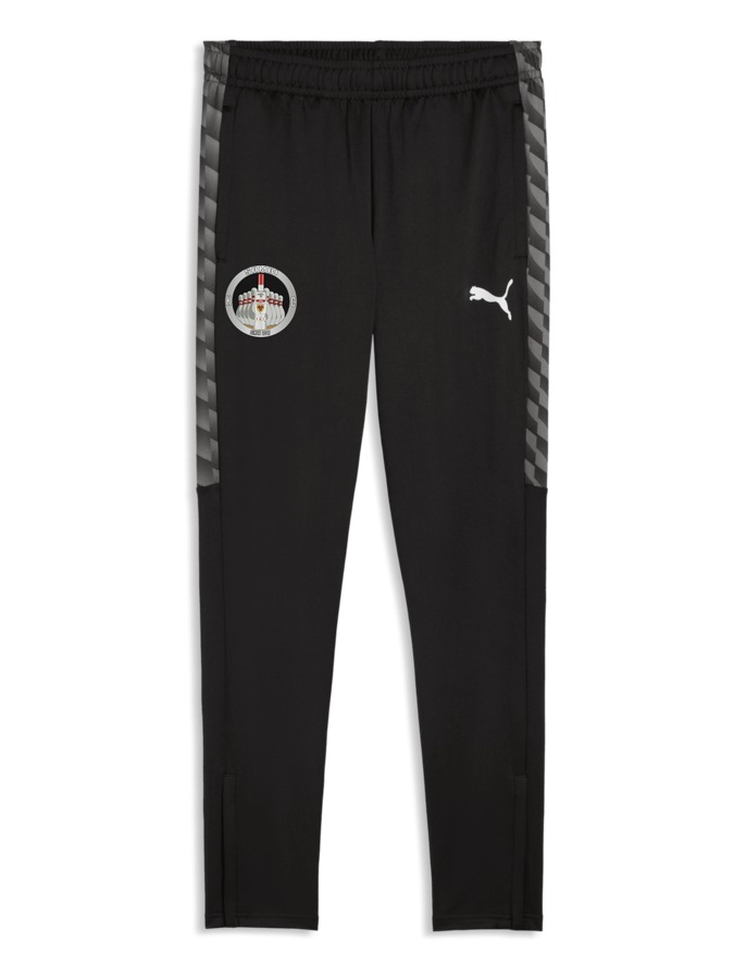 PUMA teamLIGA26 Trainingshose