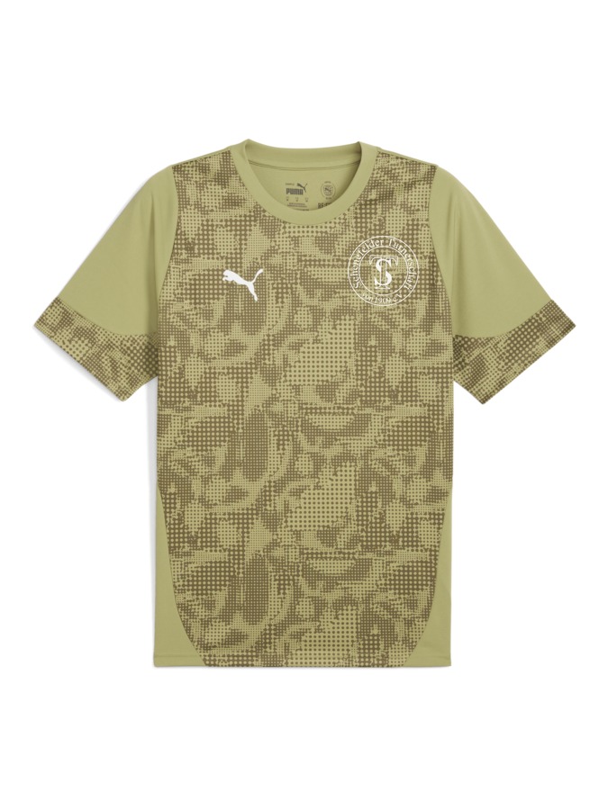 PUMA teamCUP Trainingsshirt