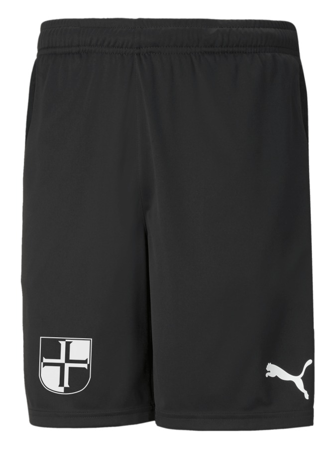 PUMA teamRISE Training Shorts