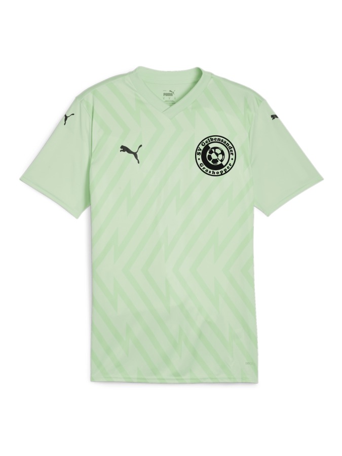 PUMA teamGLORY Trikot