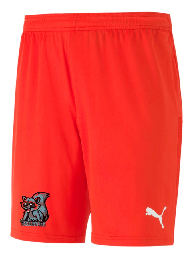 PUMA teamGOAL 23 Knit Shorts