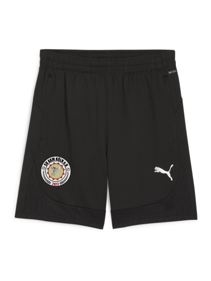 PUMA teamFINAL Training Shorts