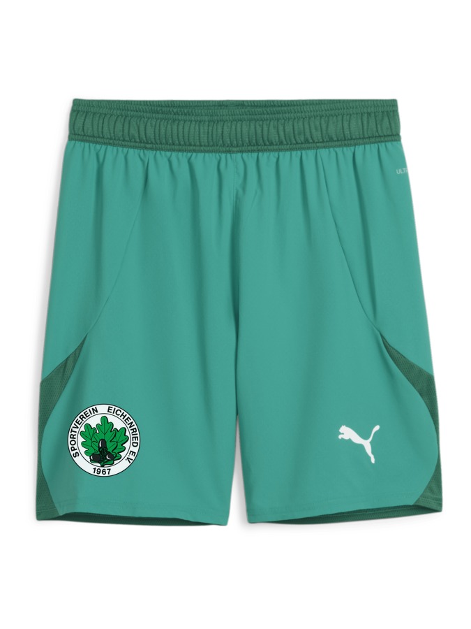 PUMA teamFINAL Shorts