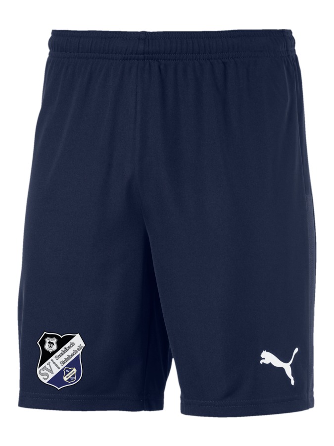 PUMA teamGOAL 23 Knit Shorts