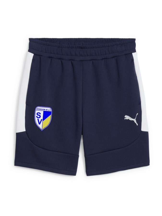 PUMA teamEVOSTRIPE Shorts