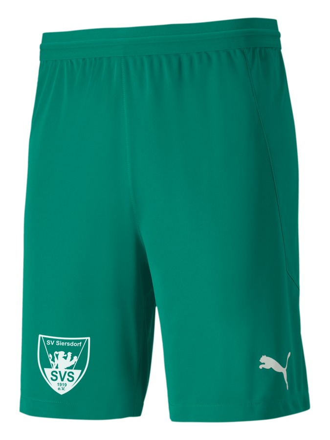 PUMA teamFINAL 21 Knit Shorts