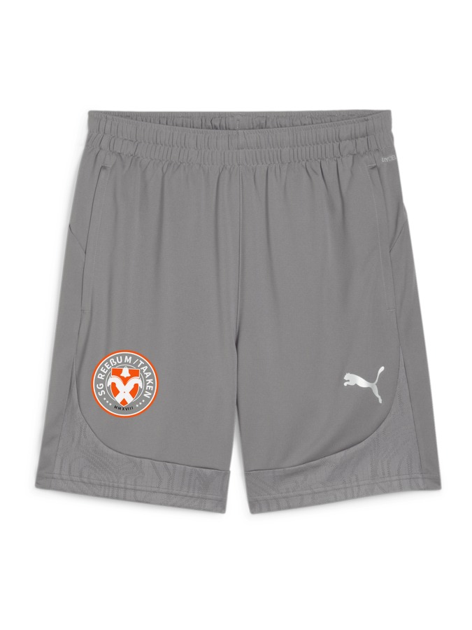 PUMA teamFINAL Training Shorts