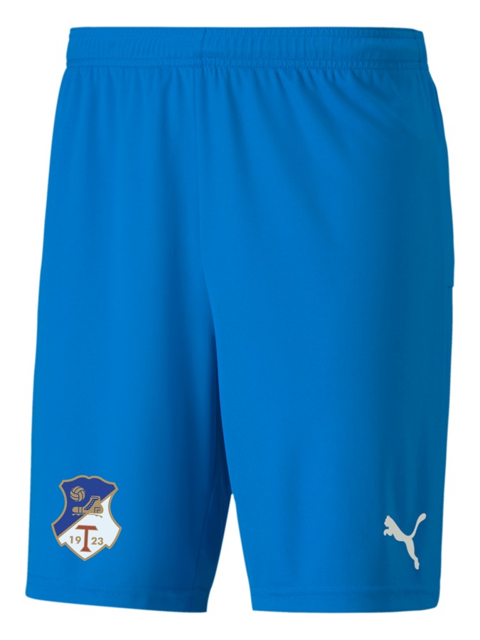PUMA teamGOAL 23 Knit Shorts