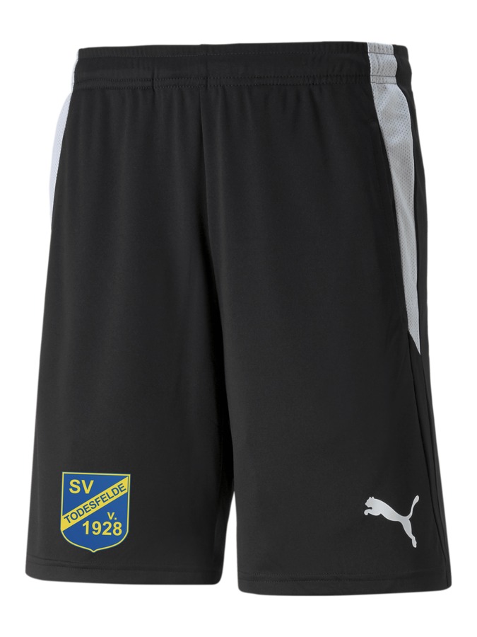 PUMA teamLIGA Referee Shorts