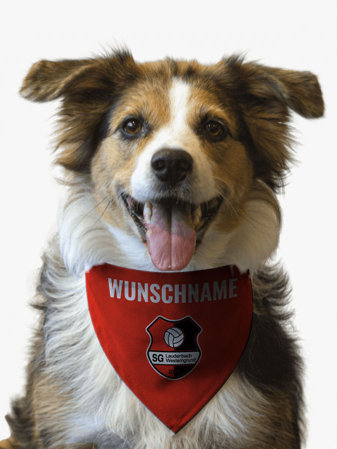 Hundehalstuch
