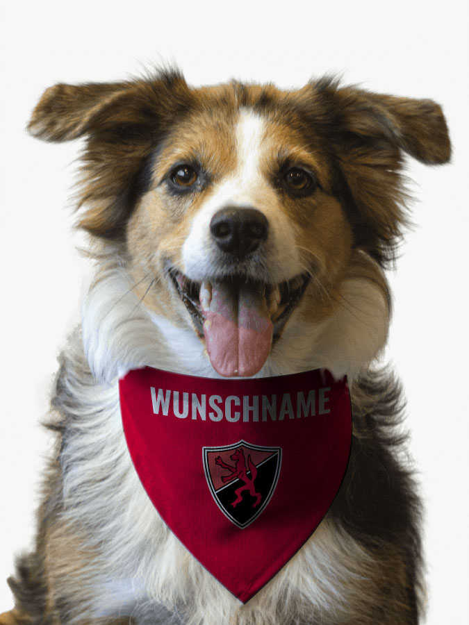 Hundehalstuch