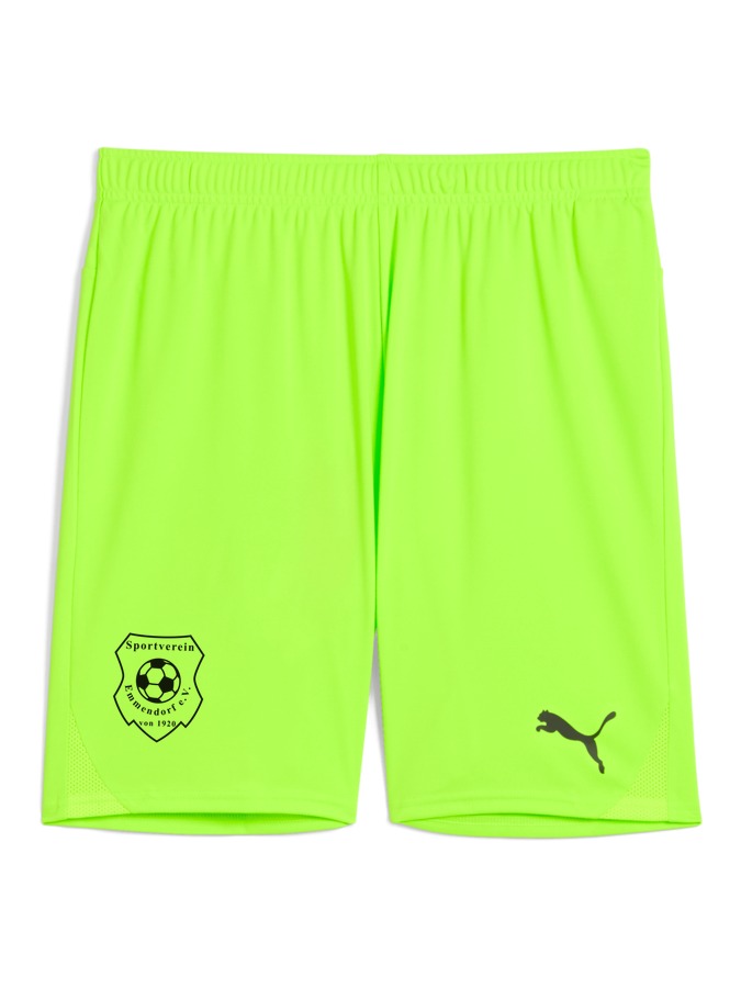 PUMA teamGOAL Shorts
