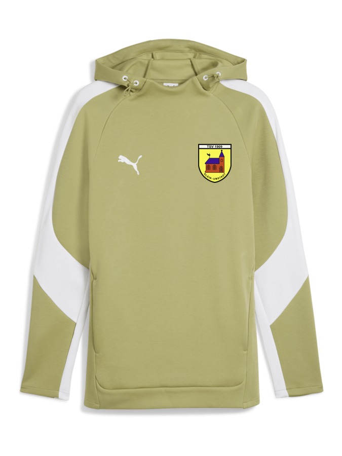 PUMA teamEVOSTRIPE Hoody